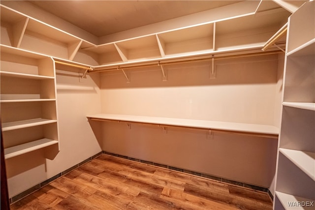 walk in closet featuring wood finished floors