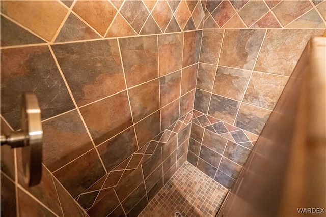 interior details with tiled shower