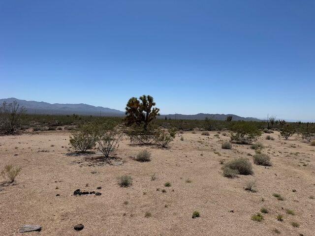 24231013 S Gene Autry Rd, Yucca, AZ 86438 - photo 5
