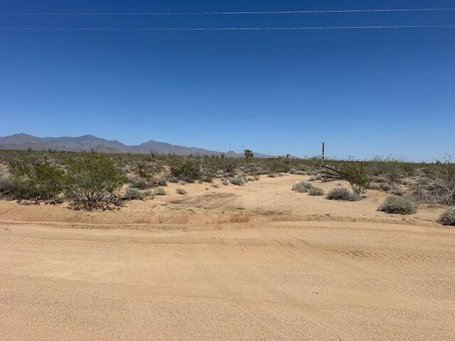 24231013 S Gene Autry Rd, Yucca, AZ 86438 - photo 1