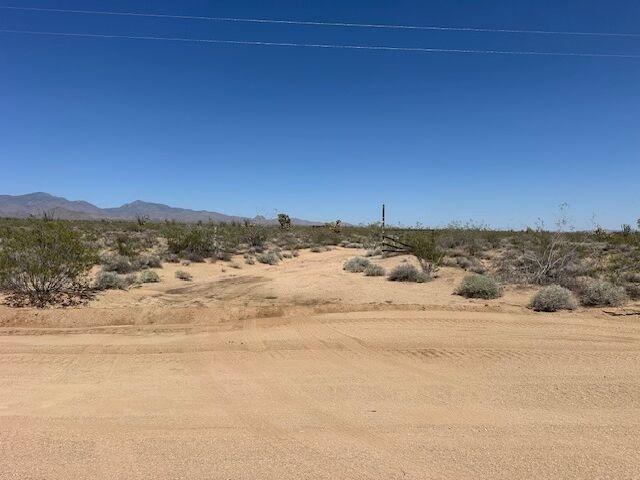 24231013 S Gene Autry Rd, Yucca, AZ 86438 - photo 4