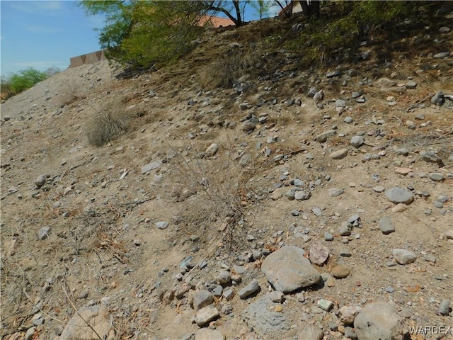 view of local wilderness