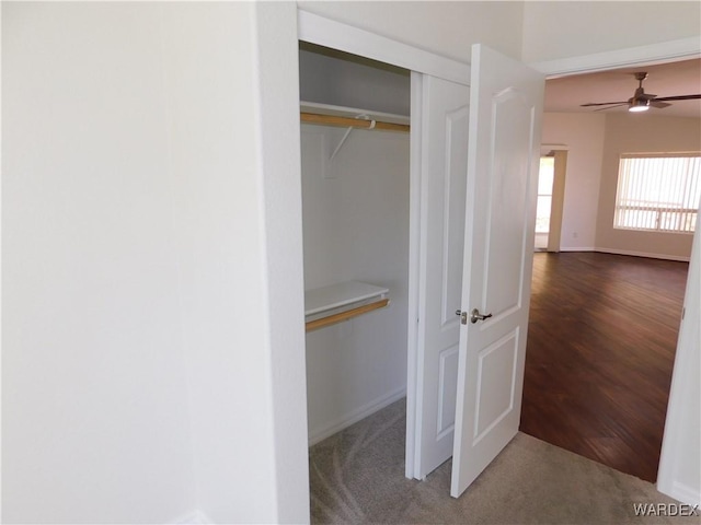 view of closet
