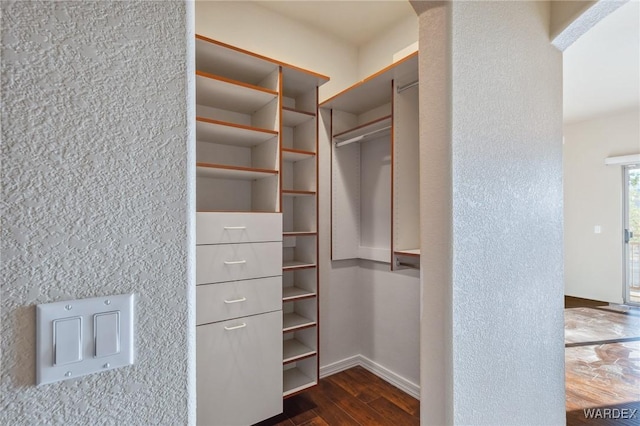 walk in closet with dark wood finished floors