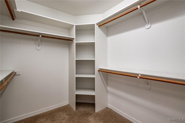 walk in closet with carpet