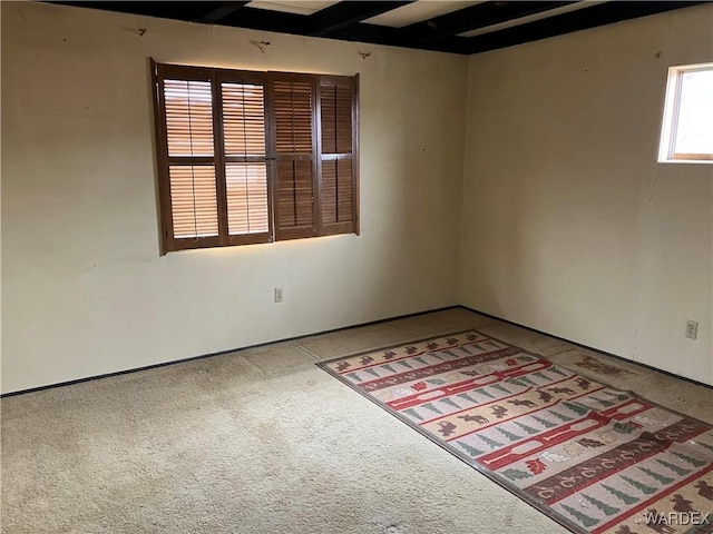 empty room featuring carpet