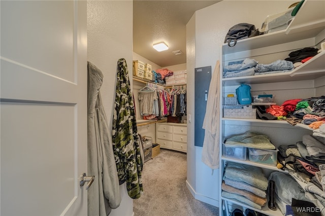 spacious closet featuring carpet