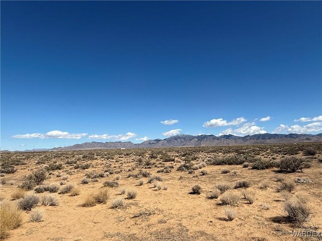 2.5AC Bonita Dr, Dolan Springs, AZ 86441 - photo 11