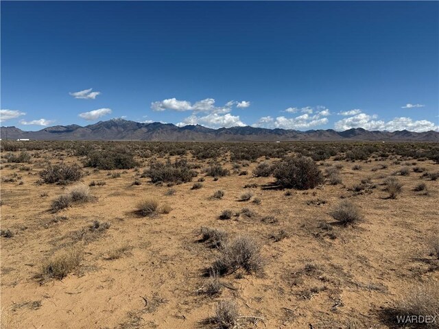 2.5AC Bonita Dr, Dolan Springs, AZ 86441 - photo 7