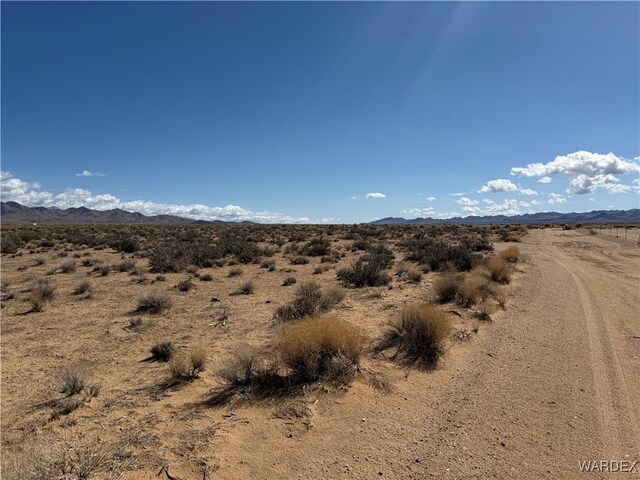 2.5AC Bonita Dr, Dolan Springs, AZ 86441 - photo 8