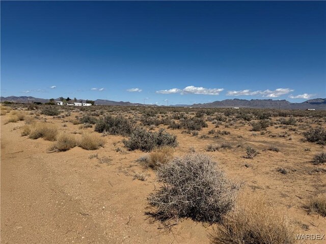 2.5AC Bonita Dr, Dolan Springs, AZ 86441 - photo 5