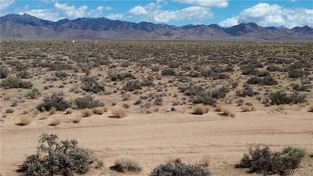 2.5AC Bonita Dr, Dolan Springs, AZ 86441 - photo 15