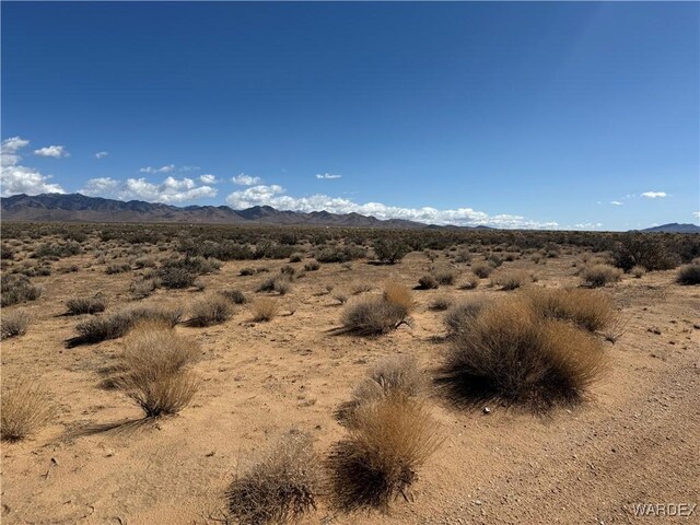 2.5AC Bonita Dr, Dolan Springs, AZ 86441 - photo 3