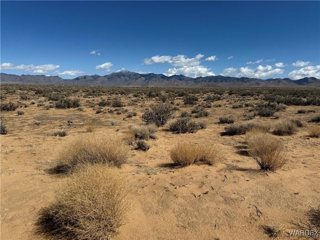 2.5AC Bonita Dr, Dolan Springs, AZ 86441 - photo 2