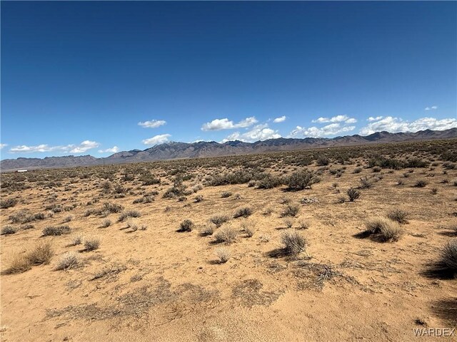2.5AC Bonita Dr, Dolan Springs, AZ 86441 - photo 12