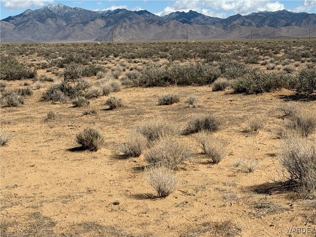 2.5AC Bonita Dr, Dolan Springs, AZ 86441 - photo 13