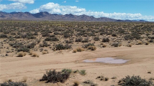 2.5AC Bonita Dr, Dolan Springs, AZ 86441 - photo 17