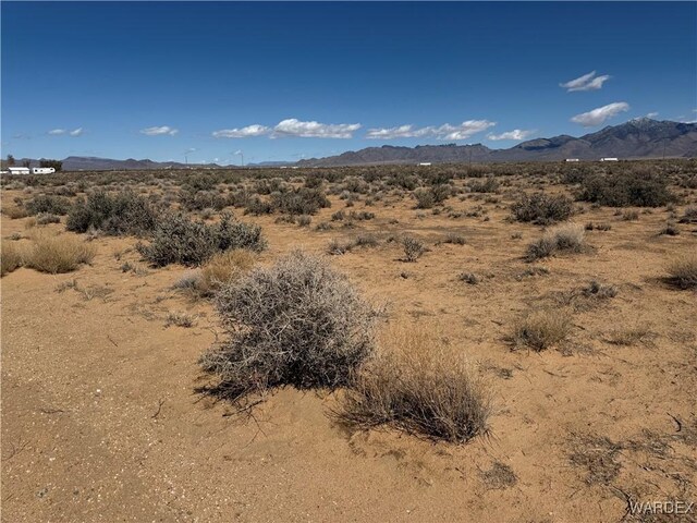 2.5AC Bonita Dr, Dolan Springs, AZ 86441 - photo 4