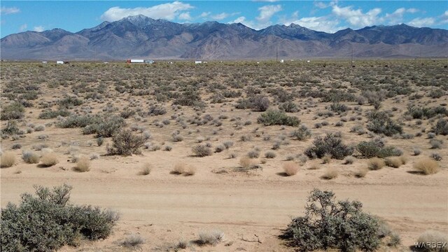 2.5AC Bonita Dr, Dolan Springs, AZ 86441 - photo 16