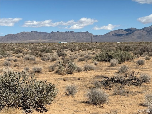 2.5AC Bonita Dr, Dolan Springs, AZ 86441 - photo 9