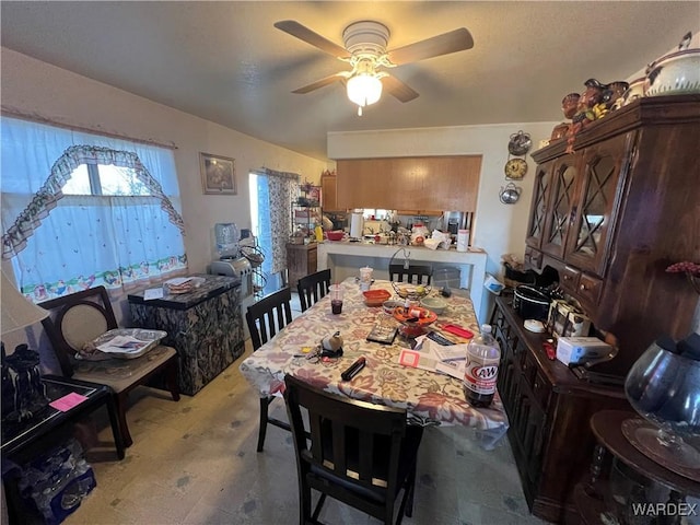 784 Roadrunner Dr, Bullhead City, AZ 86442 - photo 7