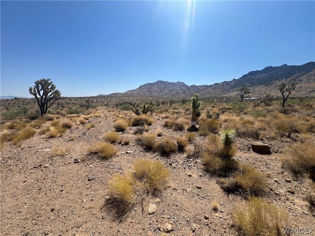 Listing photo 3 for LOT432 N Palo Alto Dr, Dolan Springs AZ 86441