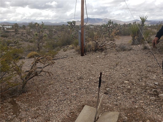 8446 W Olema Drive 232 & 233, White Hills, AZ 86445 - photo 5