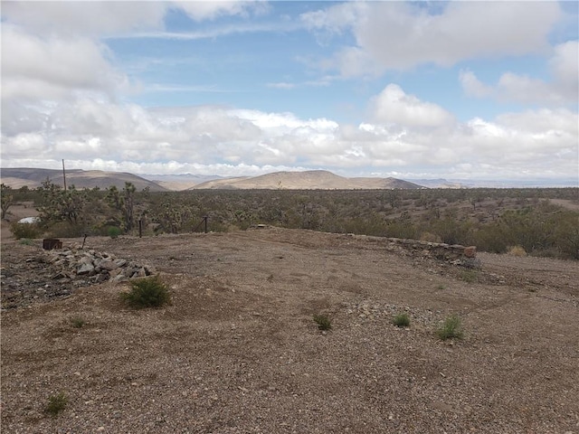 8446 W Olema Drive 232 & 233, White Hills, AZ 86445 - photo 3