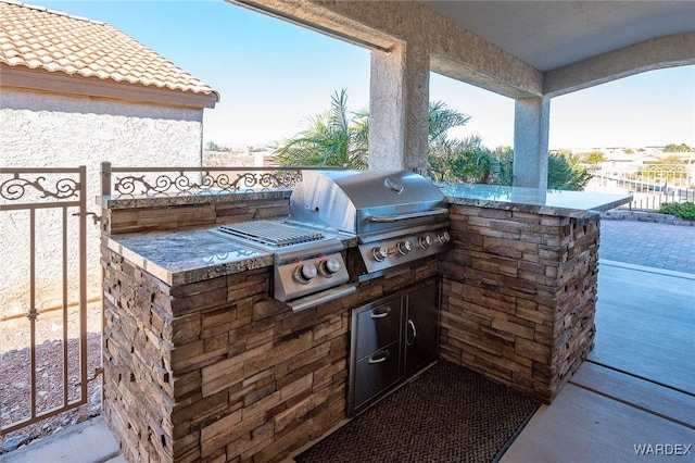 view of patio / terrace with grilling area and area for grilling