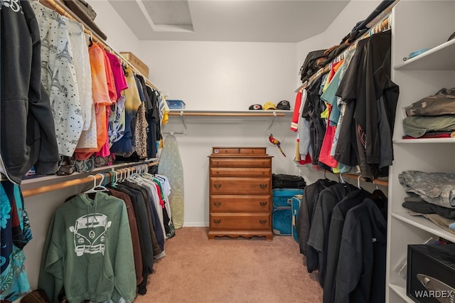 spacious closet featuring light carpet and attic access