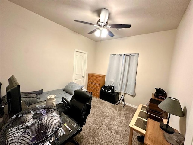 3738 N Miller St, Kingman, AZ 86409 - photo 22