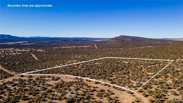 43739 N Caliente Wind Way, Seligman AZ, 86337 land for sale