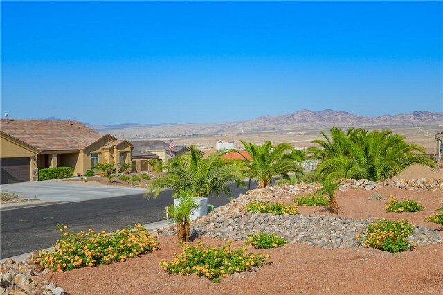 2613 Unicorn Rd, Bullhead City, AZ 86429 - photo 9