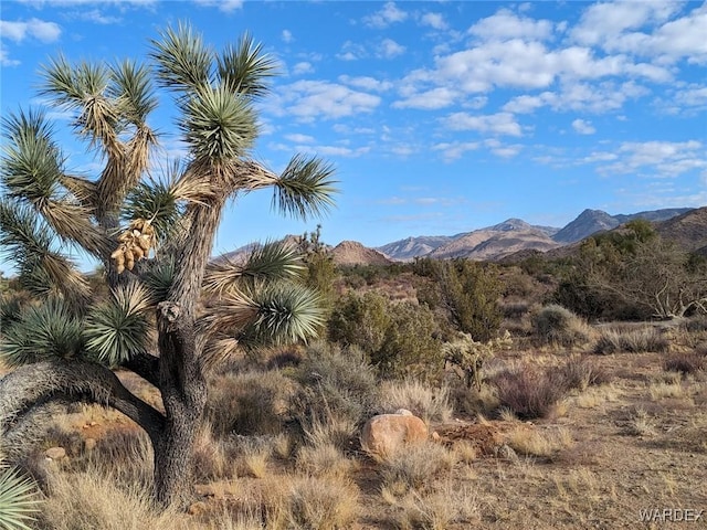 Listing photo 2 for 2624 S Gold Mine Rd, Yucca AZ 86438