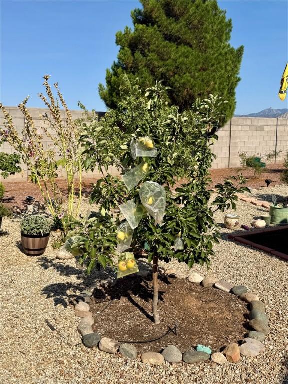 3984 N Diamond Dr, Kingman, AZ 86409 - photo 46