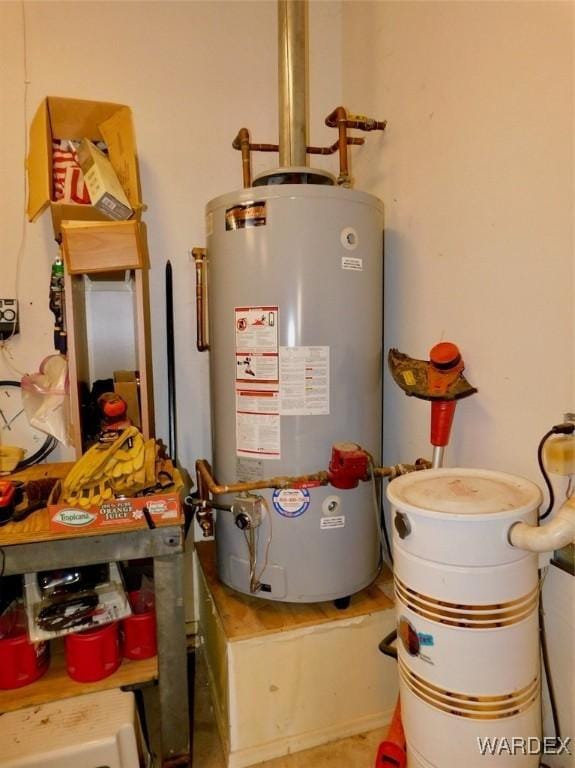 utility room featuring gas water heater