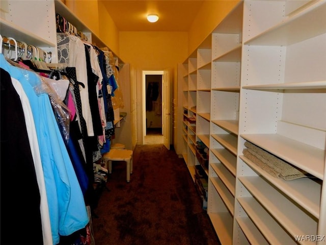 walk in closet with dark colored carpet