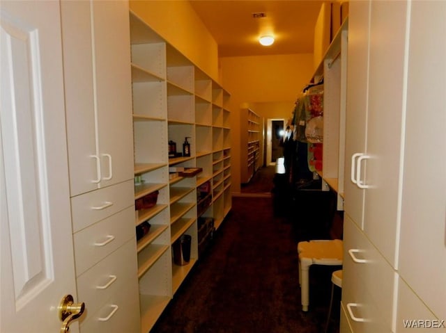 view of walk in closet