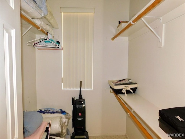 view of spacious closet