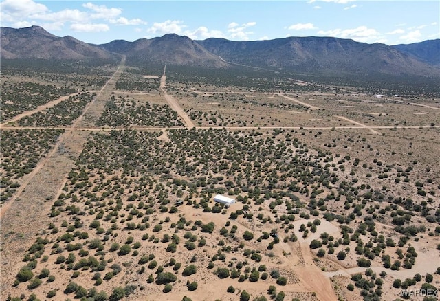 14941 E Painted Hills Cir, Hackberry, AZ 86411 - photo 49