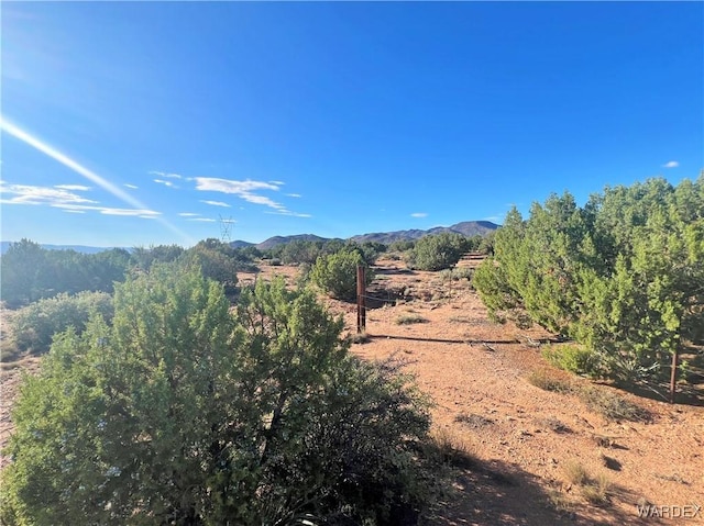 14941 E Painted Hills Cir, Hackberry, AZ 86411 - photo 3