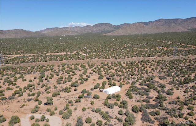14941 E Painted Hills Cir, Hackberry, AZ 86411 - photo 47
