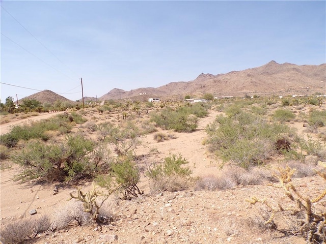 4LOTS Hwy 68, Golden Valley, AZ 86413 - photo 42