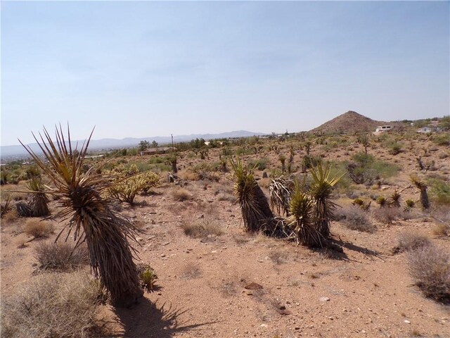 4LOTS Hwy 68, Golden Valley, AZ 86413 - photo 25