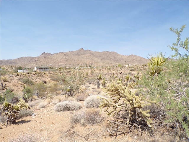 4LOTS Hwy 68, Golden Valley, AZ 86413 - photo 27