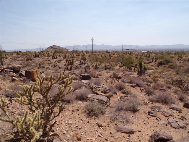 4LOTS Hwy 68, Golden Valley, AZ 86413 - photo 13