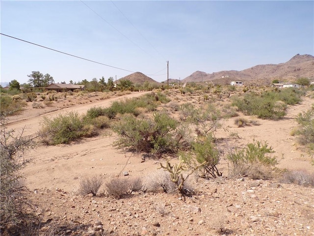 4LOTS Hwy 68, Golden Valley, AZ 86413 - photo 43