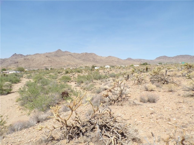 4LOTS Hwy 68, Golden Valley, AZ 86413 - photo 41