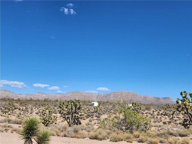 27195 N Pear Ave, Meadview, AZ 86444 - photo 5