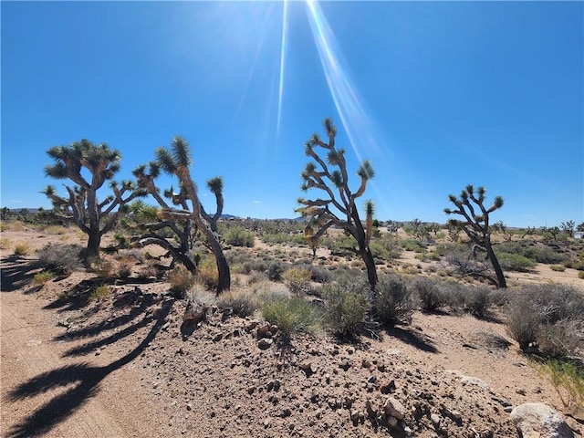27195 N Pear Ave, Meadview, AZ 86444 - photo 3